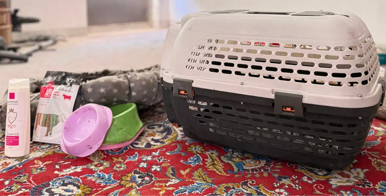 باکس سگ|لوازم جانبی حیوانات|یزد, |دیوار