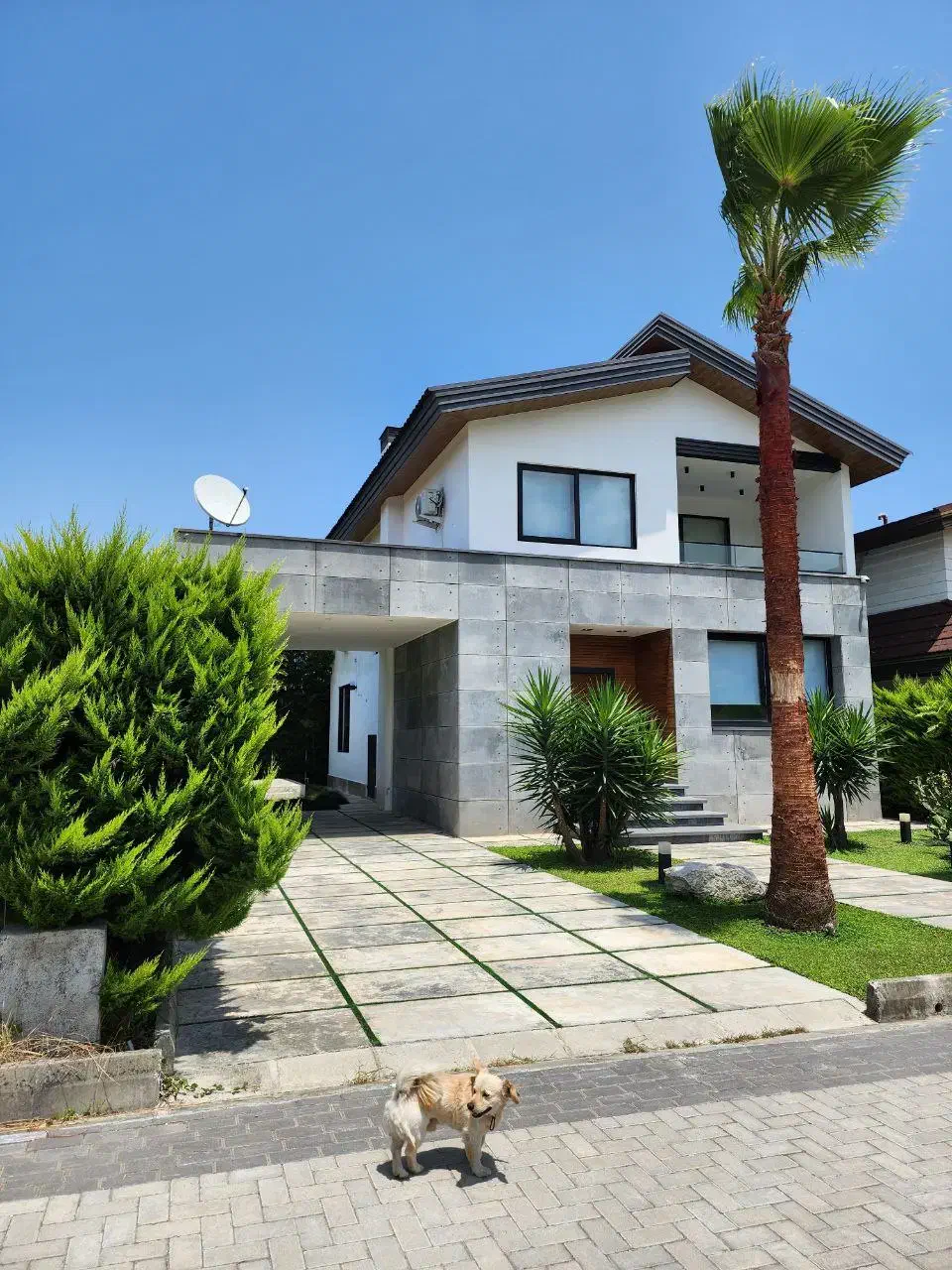 دوبلکس فرنیش استخردار۴۵۰ مترپایانکار/۷میلیاردنوشهر|فروش خانه و ویلا|رویان, |دیوار