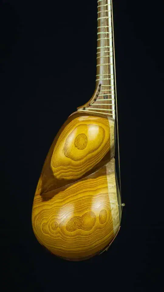 فروش ویژه تعدادی ساز فوق حرفه ای|سازهای سنتی|ری, شهید غیوری (ابن باویه)|دیوار