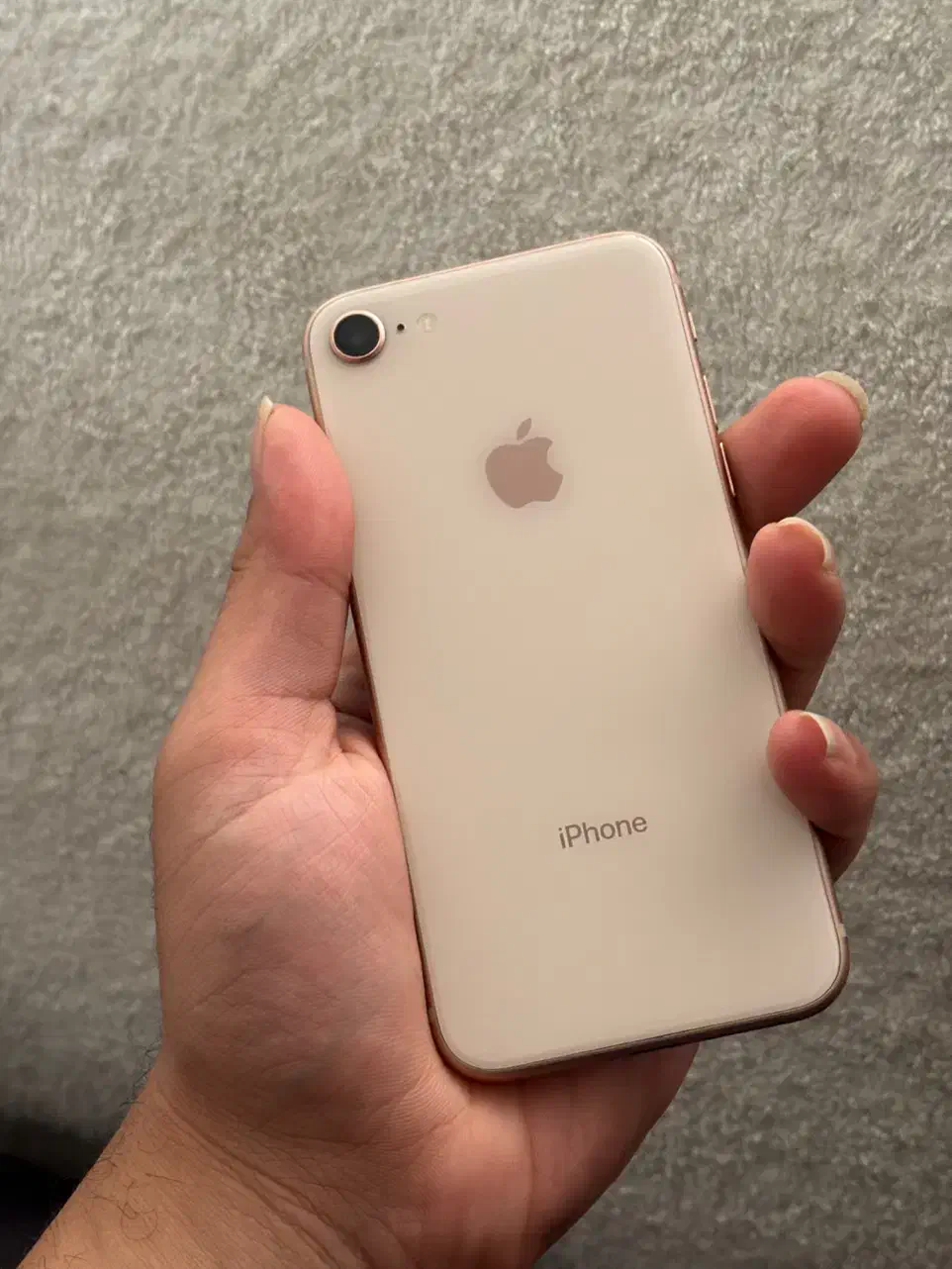 iPhone 8|موبایل|تهران, زعفرانیه|دیوار