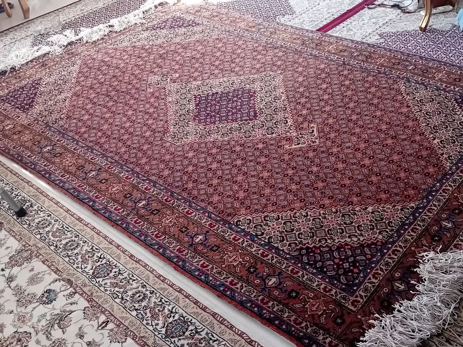 فرش دستبافت جفت|فرش|اردبیل, |دیوار