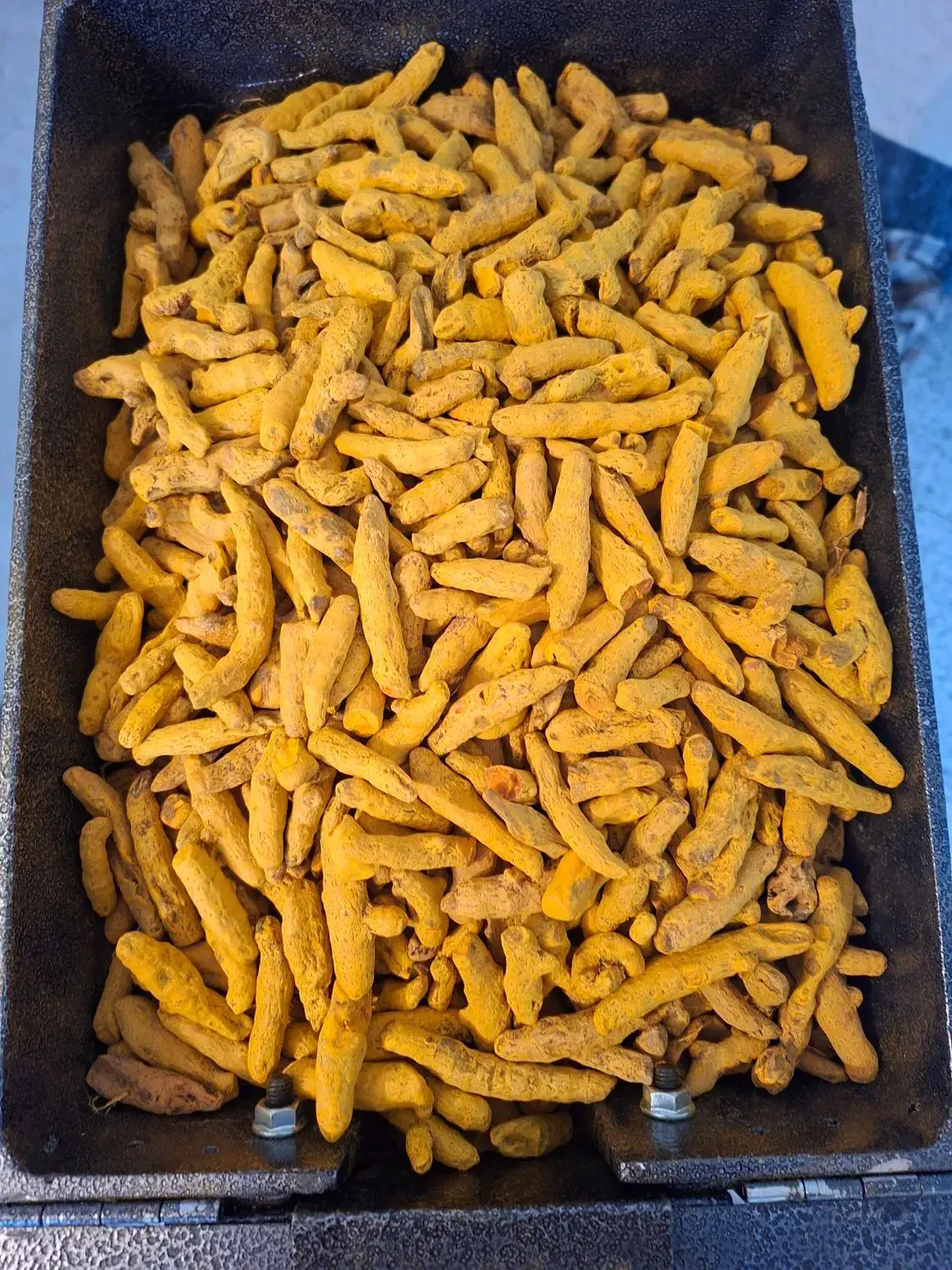 پخش عمده زردچوبه قلم و پودر|عمدهفروشی|مرند, |دیوار