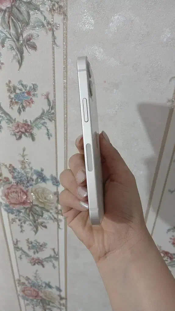 آیفون 12mini|موبایل|اصفهان, باغ نگاره|دیوار