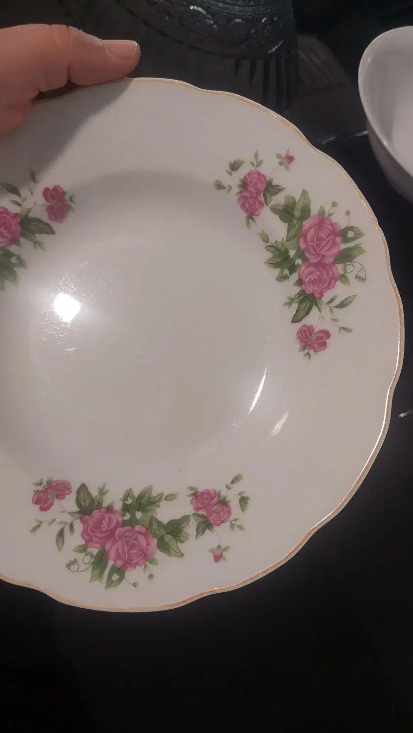 بشقاب چینی خورشت خوری گل سرخی|ظروف سرو و پذیرایی|شیراز, تلخ داش|دیوار