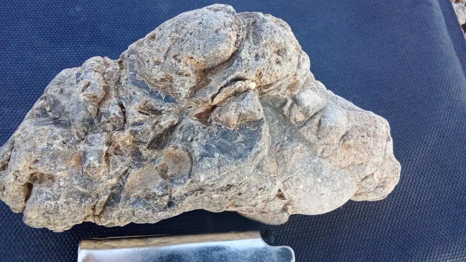 سنگهای طبیعی|جواهرات|پرند, فاز ۴|دیوار