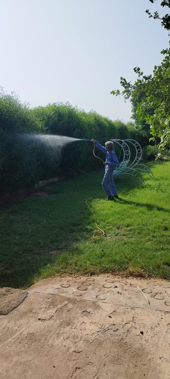 سمپاشی و موریانه زدایی تضمینی رامشیر|خدمات نظافت|رامشیر, |دیوار