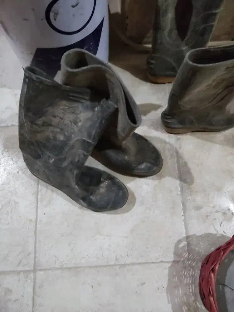 چکمه|کیف، کفش، کمربند|شیراز, شاپورجان|دیوار