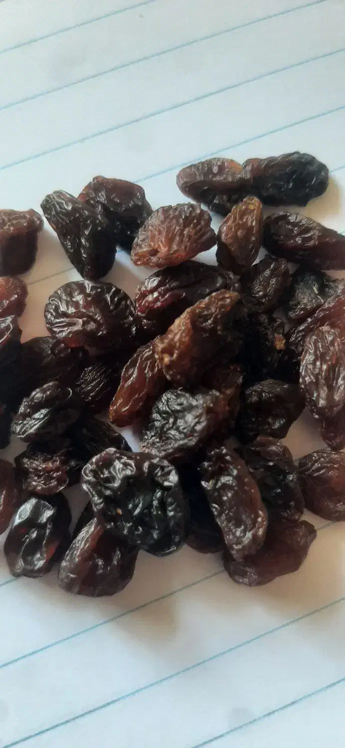 حبوبات|حراج|اصفهان, فجر|دیوار