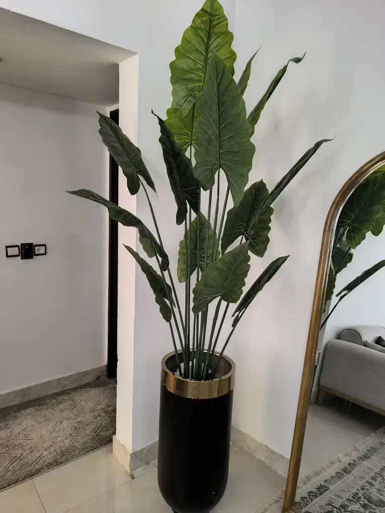 درختچه مصنوعی وارداتی|گل مصنوعی|زاهدان, |دیوار