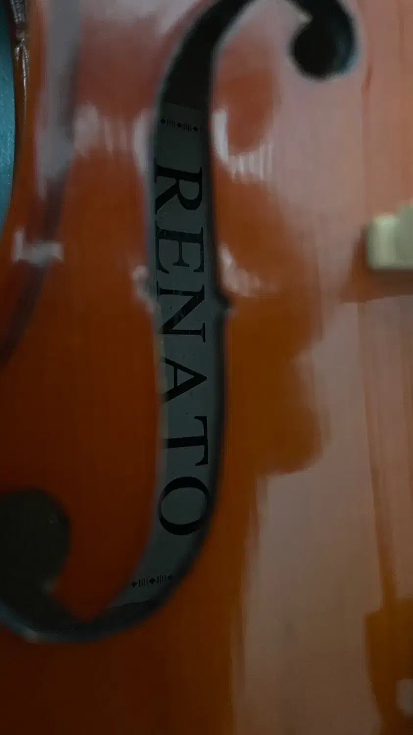 ویولن رناتو|ویولن|تهران, باغ فیض|دیوار