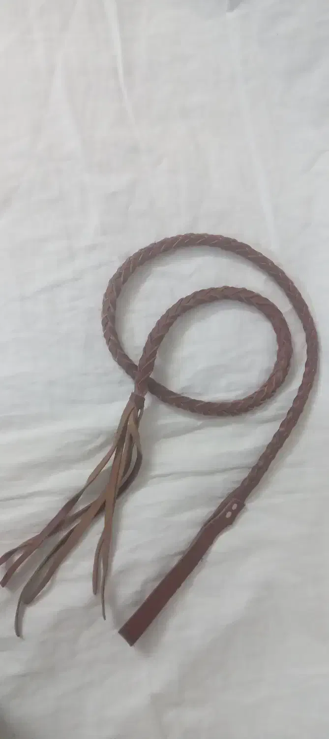 شلاق اسب تمام چرم اصل|اسب و تجهیزات اسبسواری|کاشان, الغدیر|دیوار