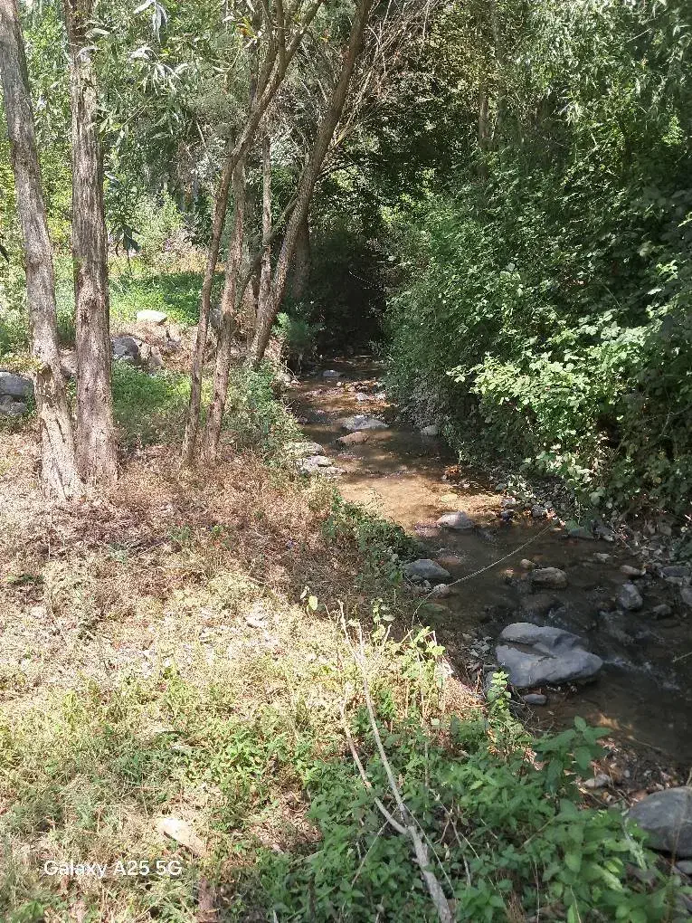 ویلاباغ منحصربفرددرهزارود|فروش خانه و ویلا|طارم, |دیوار