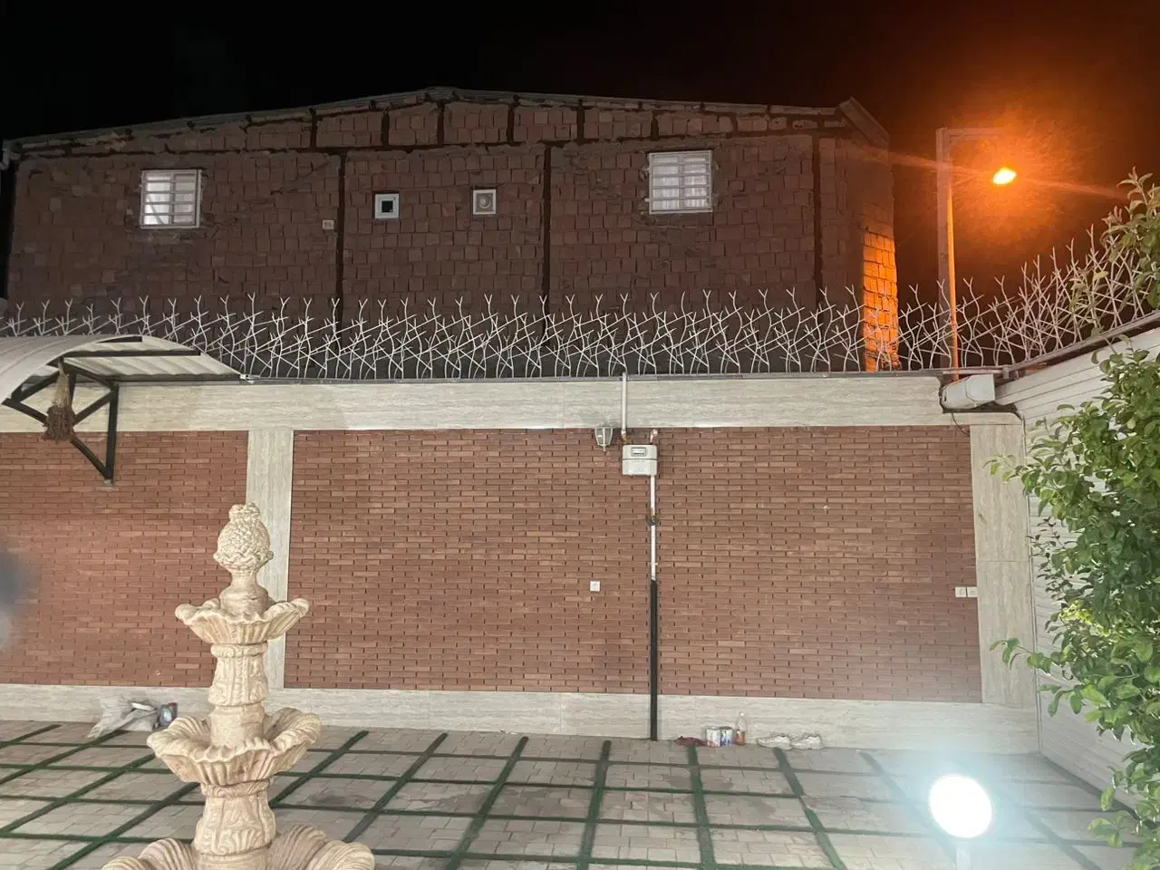 حفاظ شاخ گوزنی (بوته ای) روی دیوار منازل|مصالح و تجهیزات ساختمان|رفسنجان, |دیوار
