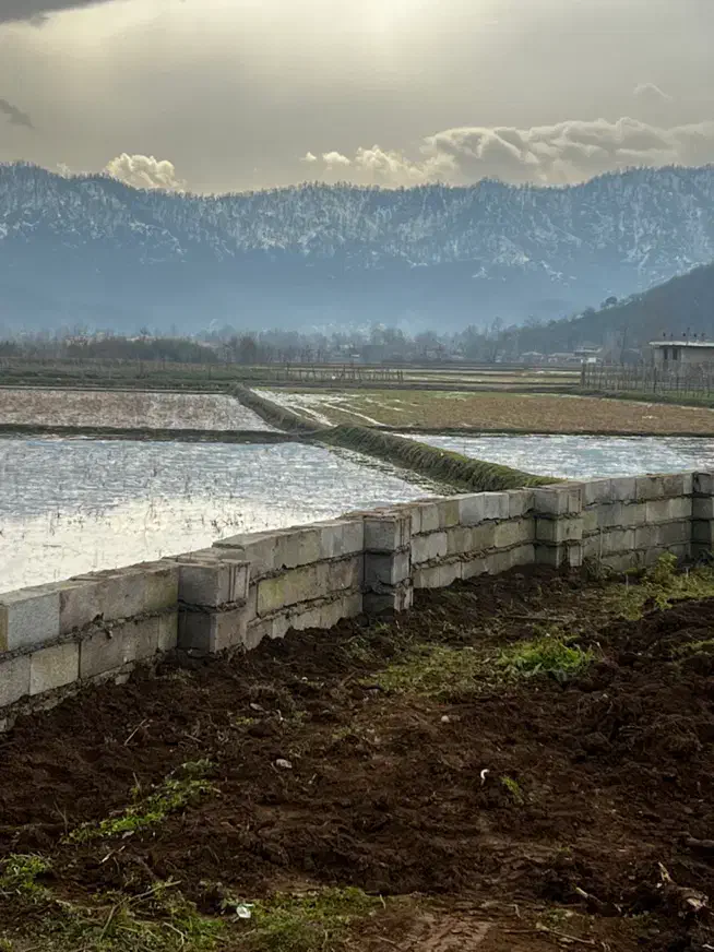 زمین۳۹۷ متری در کوچی کام|فروش زمین و ملک کلنگی|ماسال, |دیوار