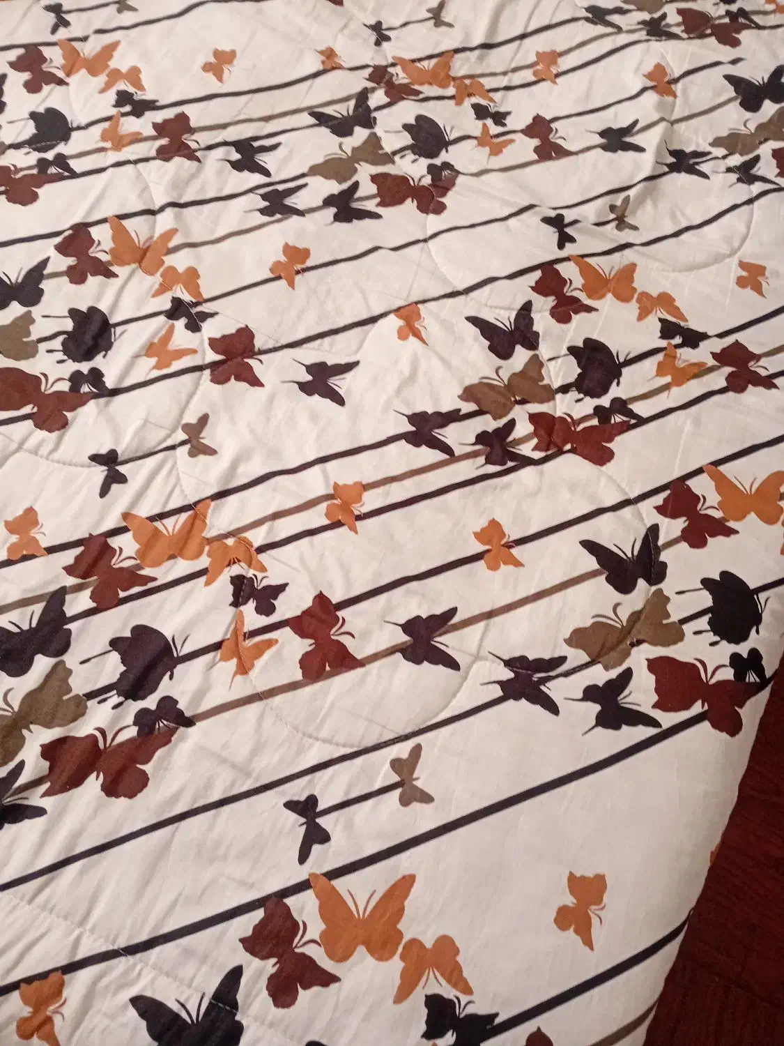 رو تختی|سرویس روتختی|قدس, شهرقدس|دیوار