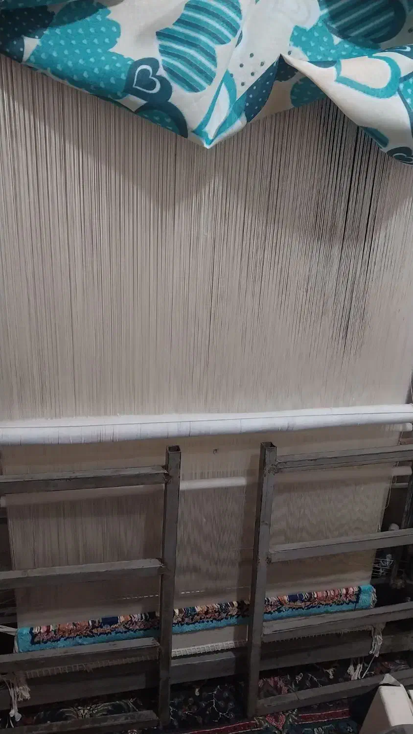 قالی زرع چارک تمام ابریشم|فرش|قم, خاکفرج|دیوار