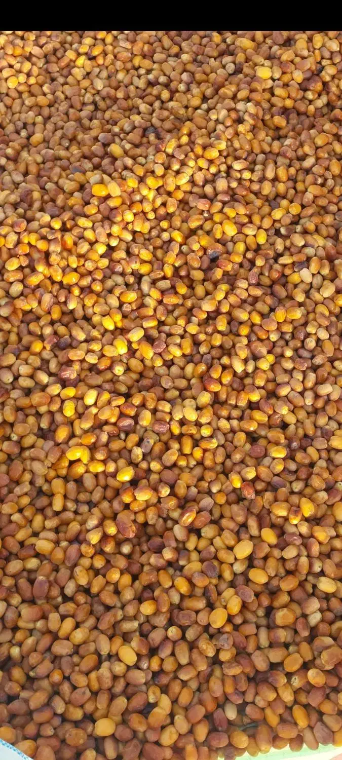 رطب زاهدی|خوردنی و آشامیدنی|فراشبند, |دیوار