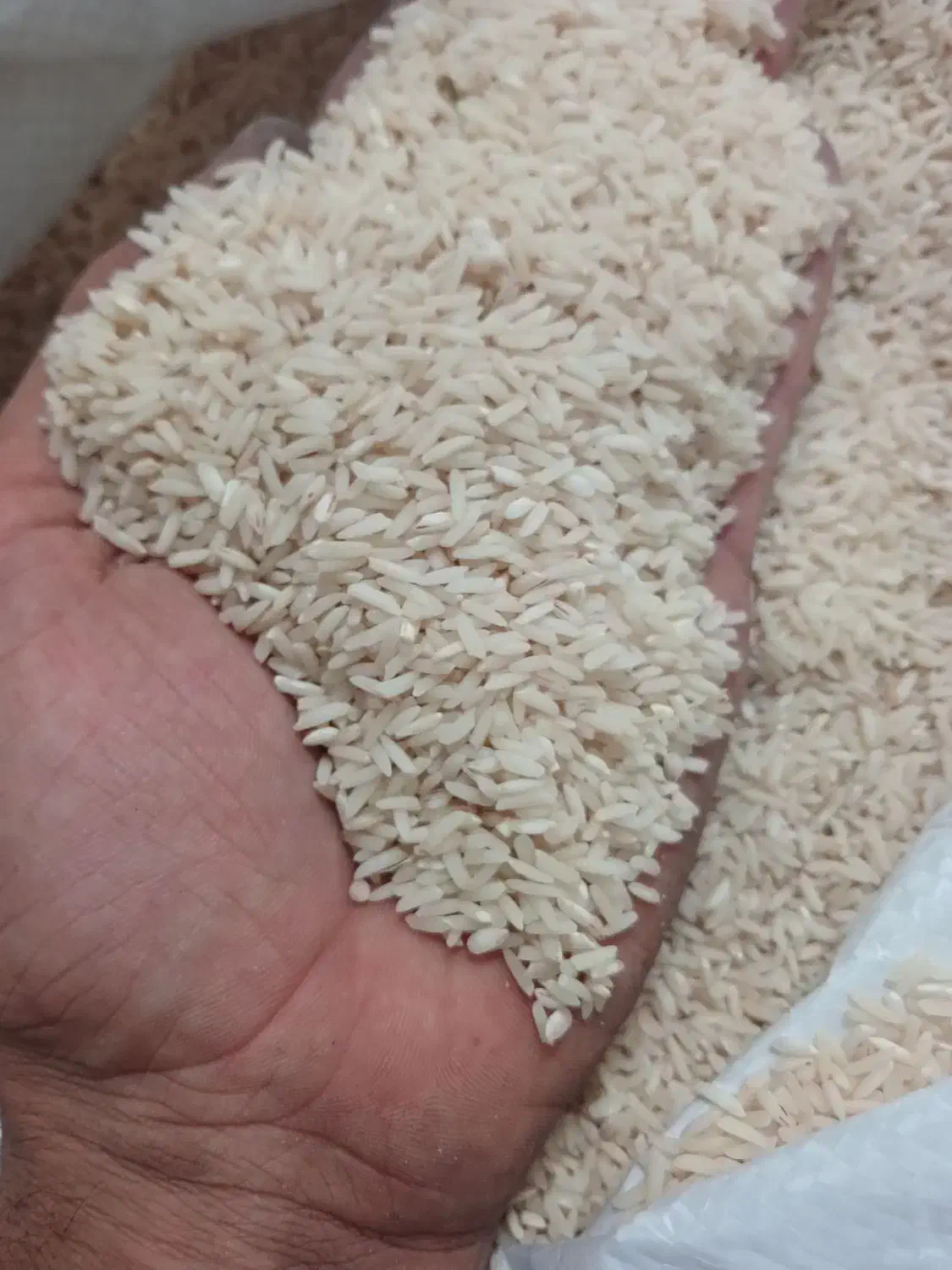 برنج دم سیاه کلات نادر|خوردنی و آشامیدنی|کلات (خراسان), |دیوار