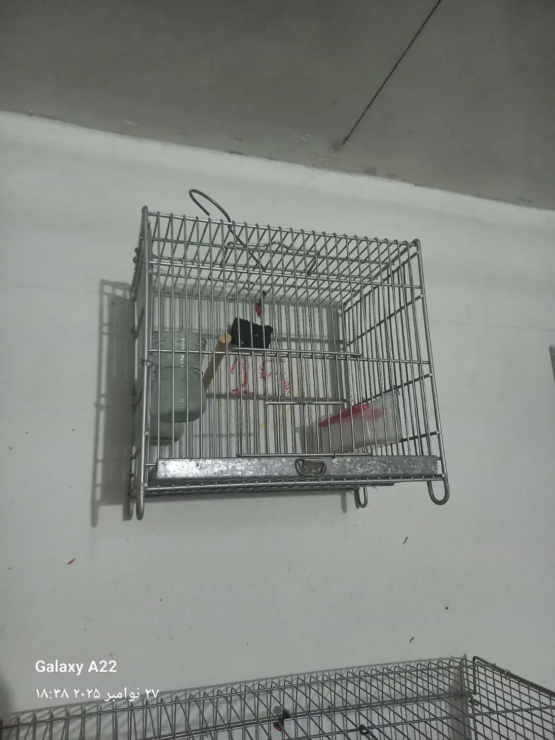 قفس سهره غلامی|لوازم جانبی حیوانات|فسا, |دیوار