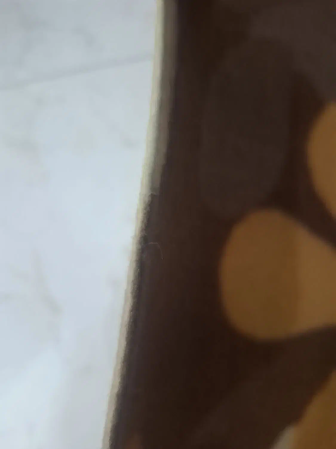 موکت در حد نو|موکت|مشهد, ده دی|دیوار