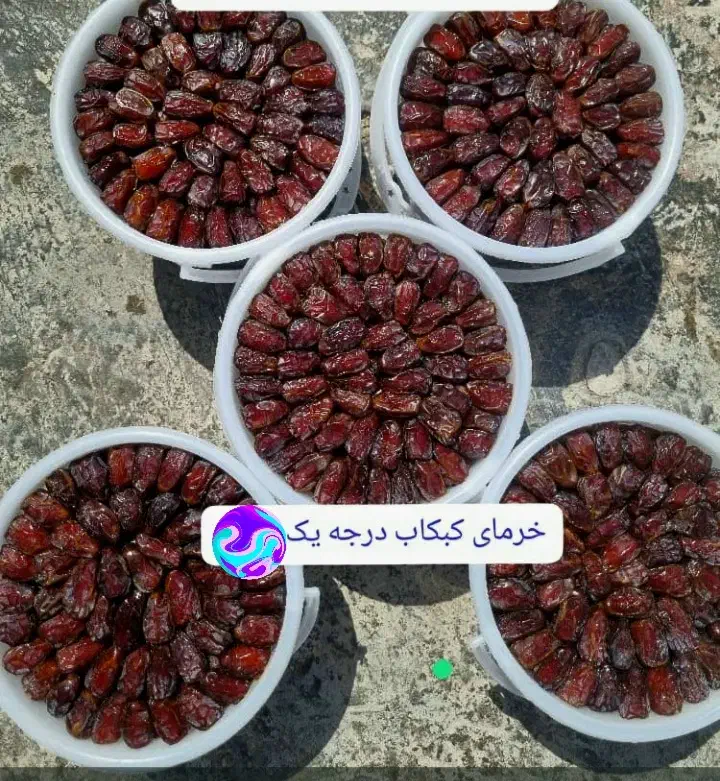 خرمای کبکاب بهبهان گوشتی دون درشت ارسال میشه|خوردنی و آشامیدنی|اهواز, فرهنگ شهر|دیوار