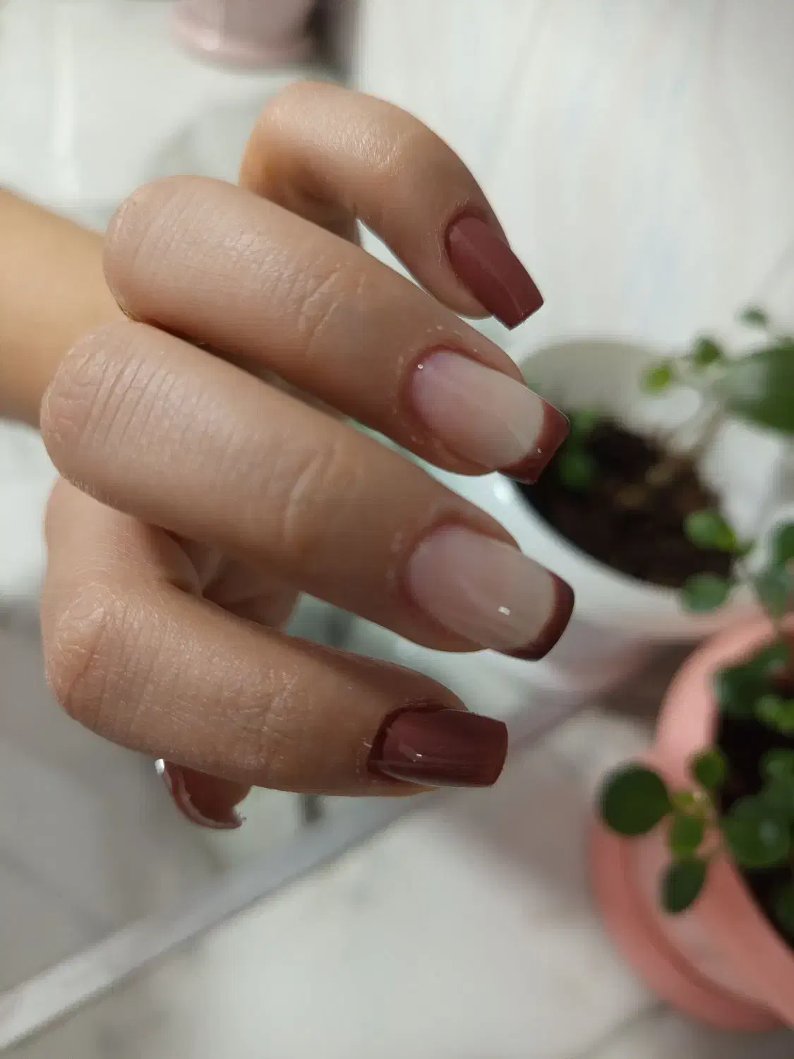 تخفیف فاطمیه|خدمات آرایشگری و زیبایی|اقبالیه, |دیوار