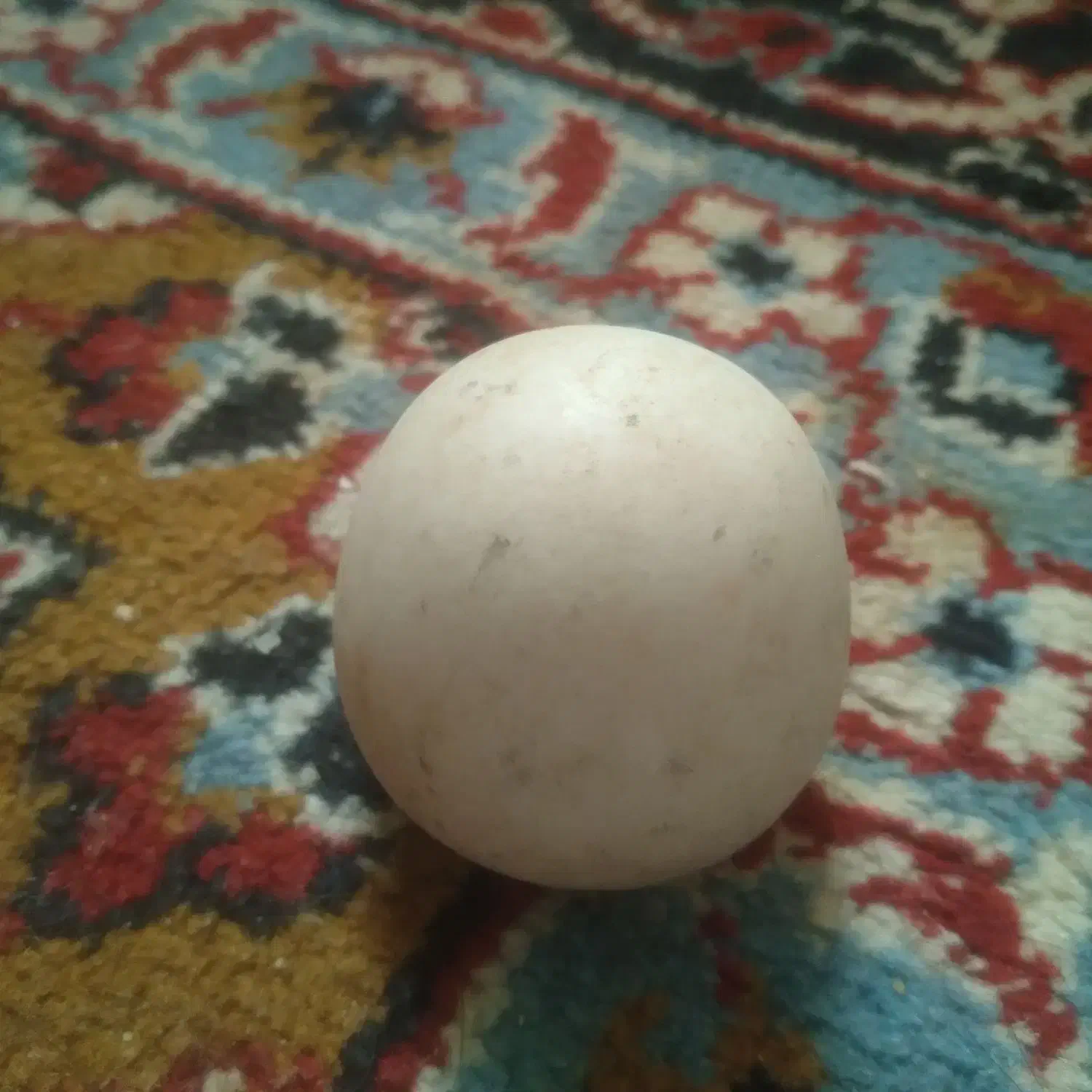 یک عدد سنگ|کلکسیون اشیاء عتیقه|لاهیجان, آهندان|دیوار