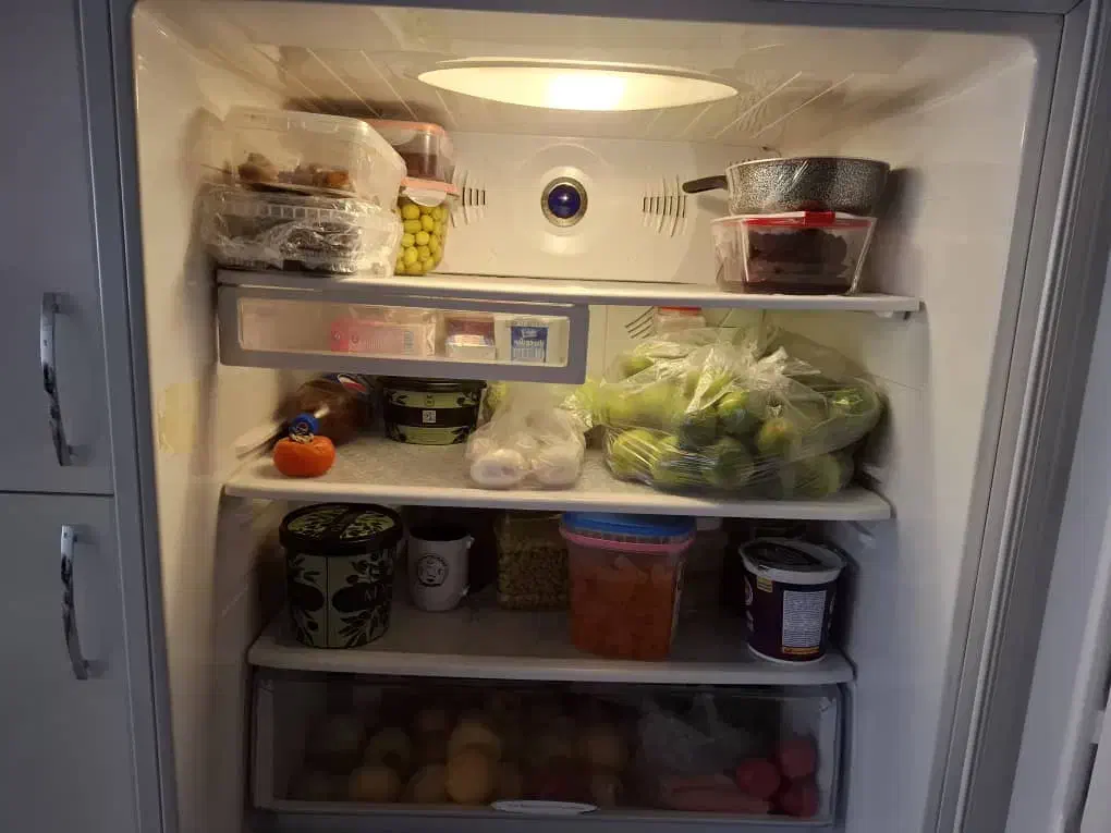 یخچال وفریزر سامسونگ اصل کره|یخچال و فریزر|وحیدیه, |دیوار