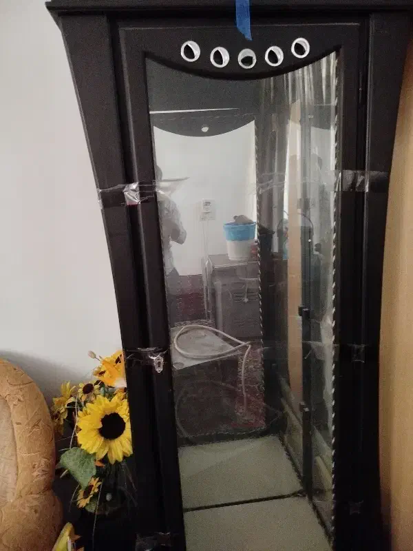 بوفه|بوفه، ویترین، کنسول|طبس, |دیوار