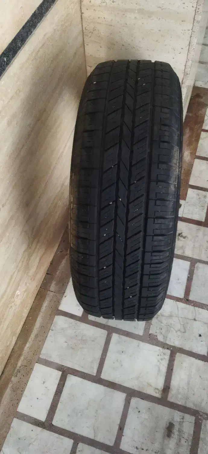 لاستیک|قطعات یدکی و لوازم جانبی|رشت, گلسار|دیوار