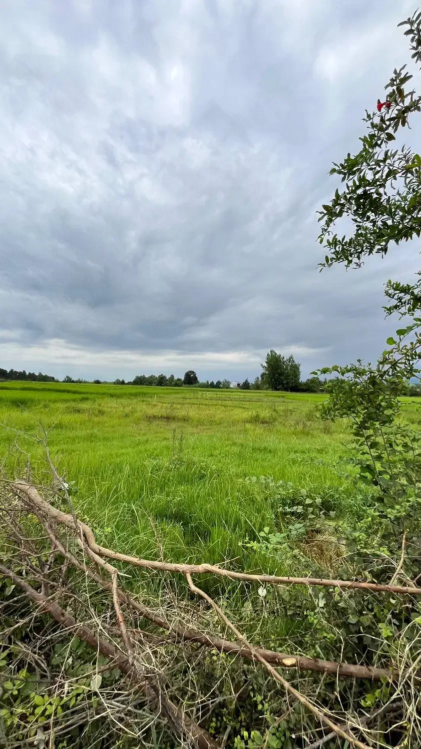 زمین بافت روستا داخل طرح هادی رضوانشهر|فروش زمین و ملک کلنگی|رضوانشهر, |دیوار