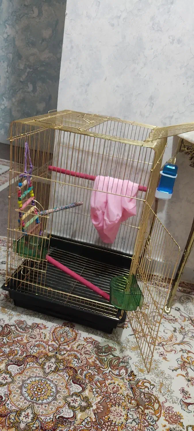 قفس بلند طلائی|لوازم جانبی حیوانات|سهند, |دیوار