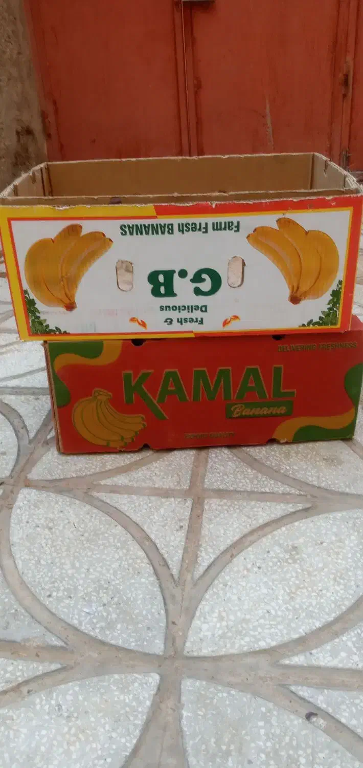 کارتونه موزی تازه|عمده‌فروشی|اسفراین, |دیوار