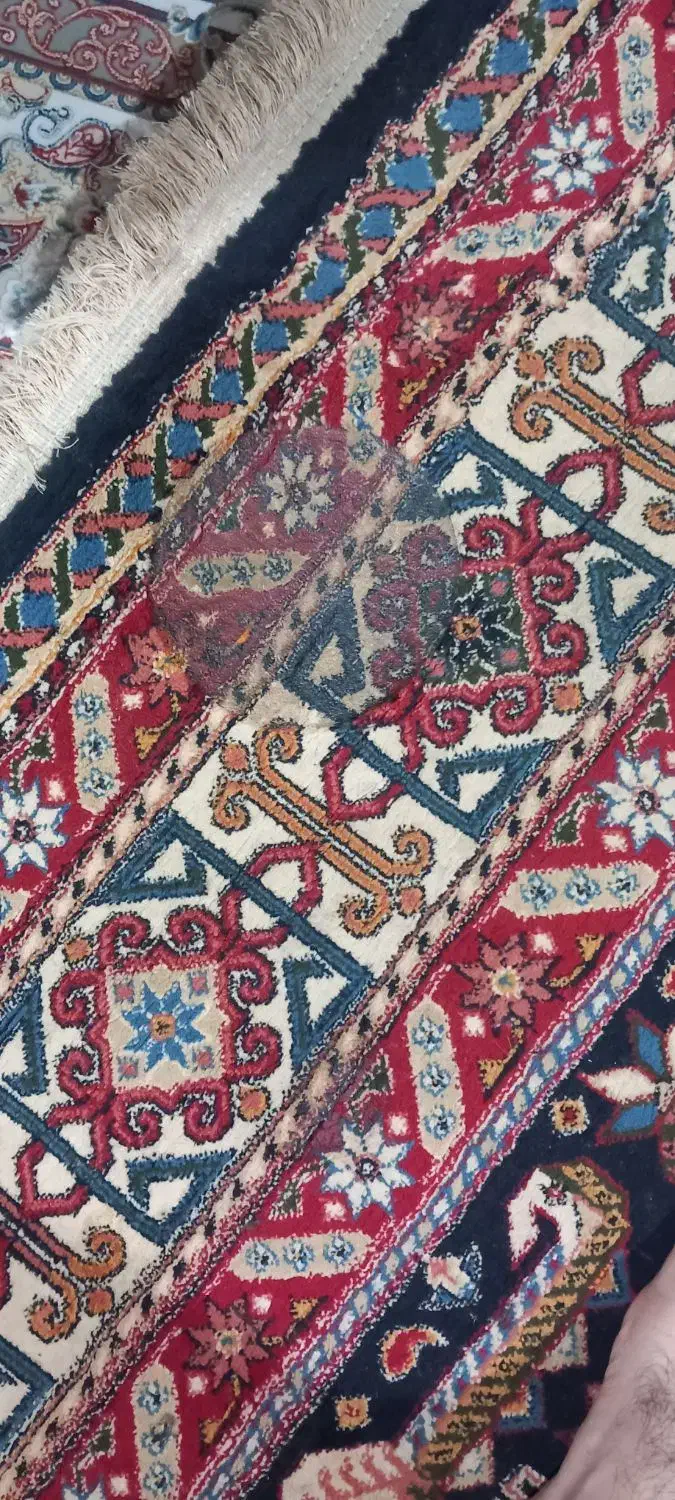 قالی 6 متری|فرش|آبادان, |دیوار