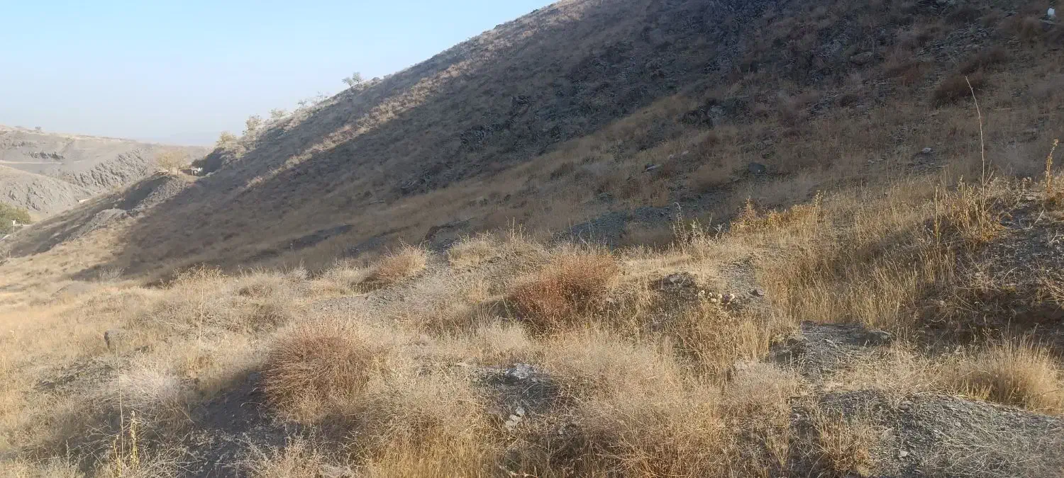 زمین ویلایی باغی جاغرق حاجی آباد نقد اقساط|فروش زمین و ملک کلنگی|طرقبه, |دیوار