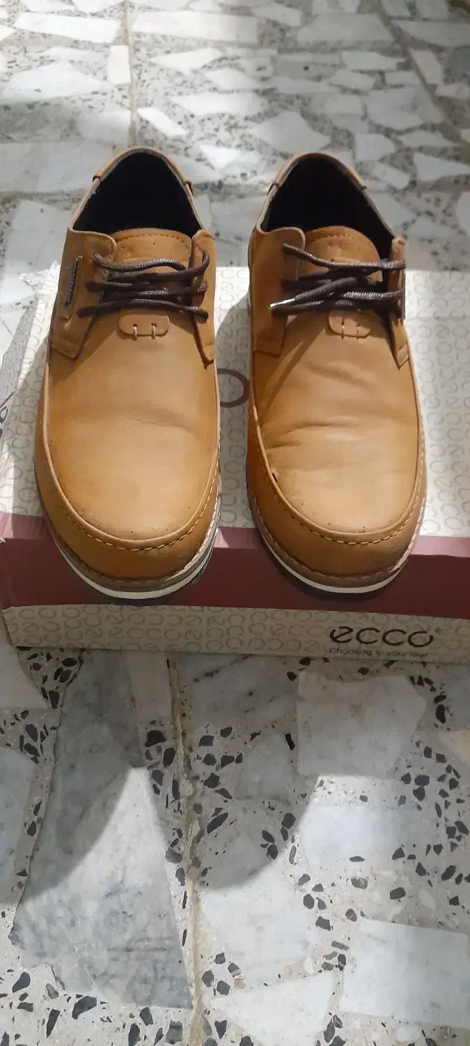 کفش نبوک سایز43کیفیت عالی|کیف، کفش، کمربند|شفت, |دیوار