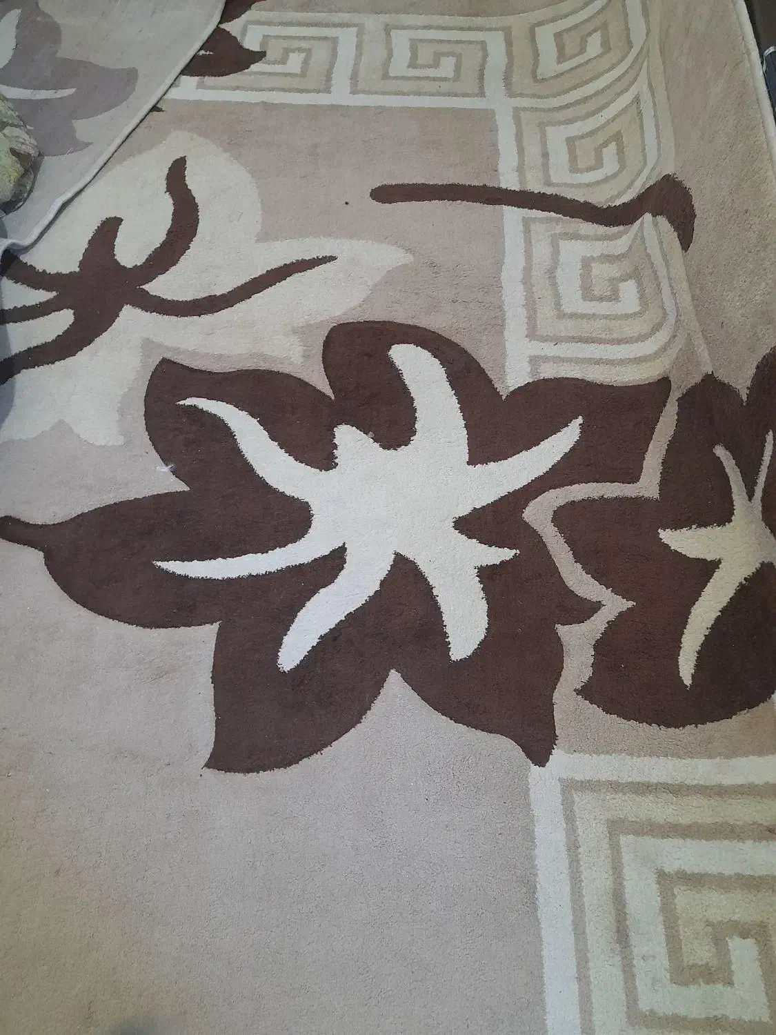 یه دونه قالی فانتوزی در حد نو|فرش|شیراز, باغشهر اهل بیت|دیوار