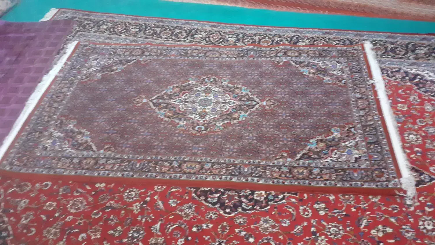 فرش دست باف|فرش|تکاب, |دیوار