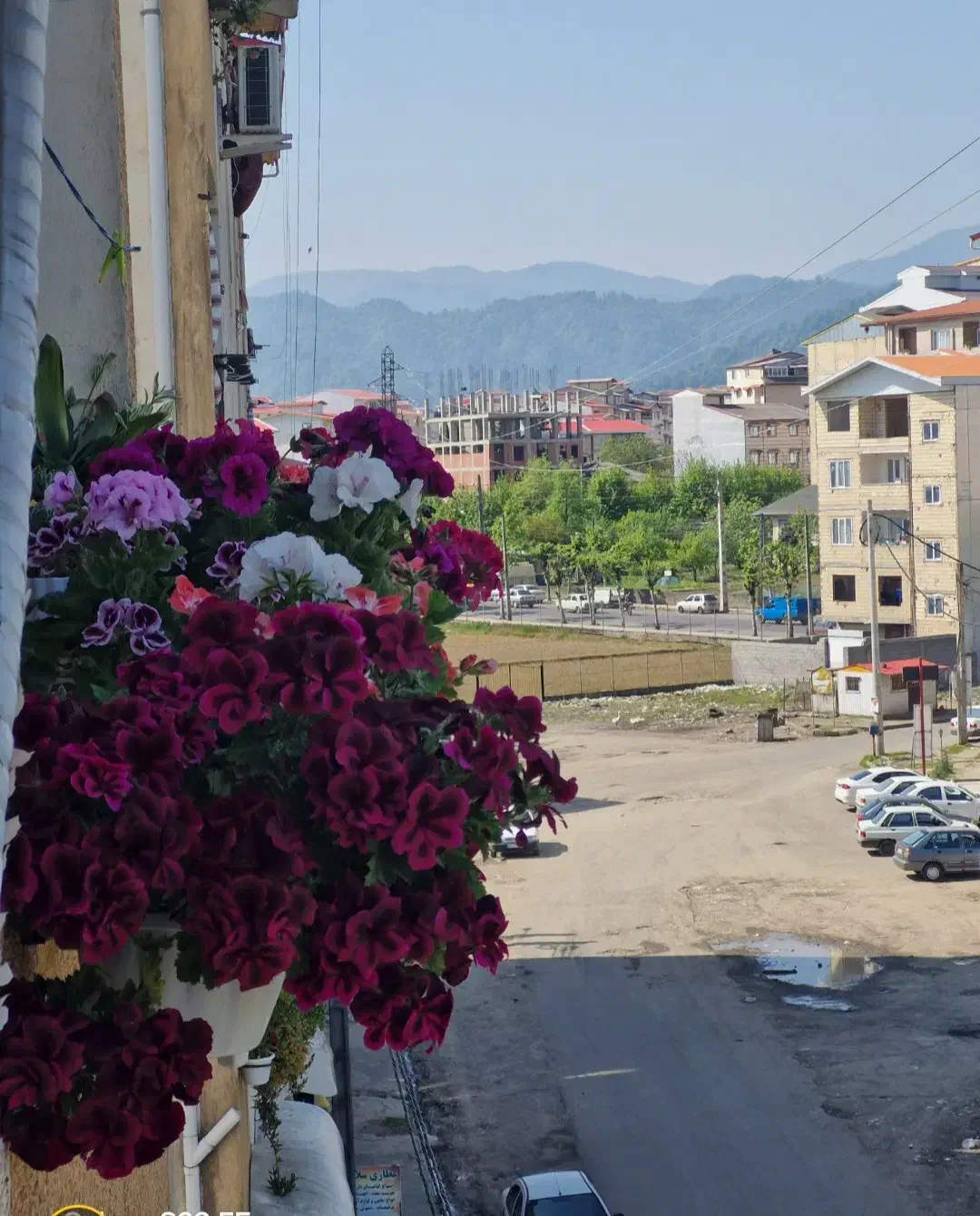 جاگلدانی|صنایع دستی و سایر لوازم تزئینی|تالش, هشتپر|دیوار