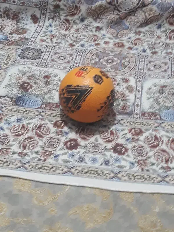 سلام|ورزشهای توپی|میناب, |دیوار