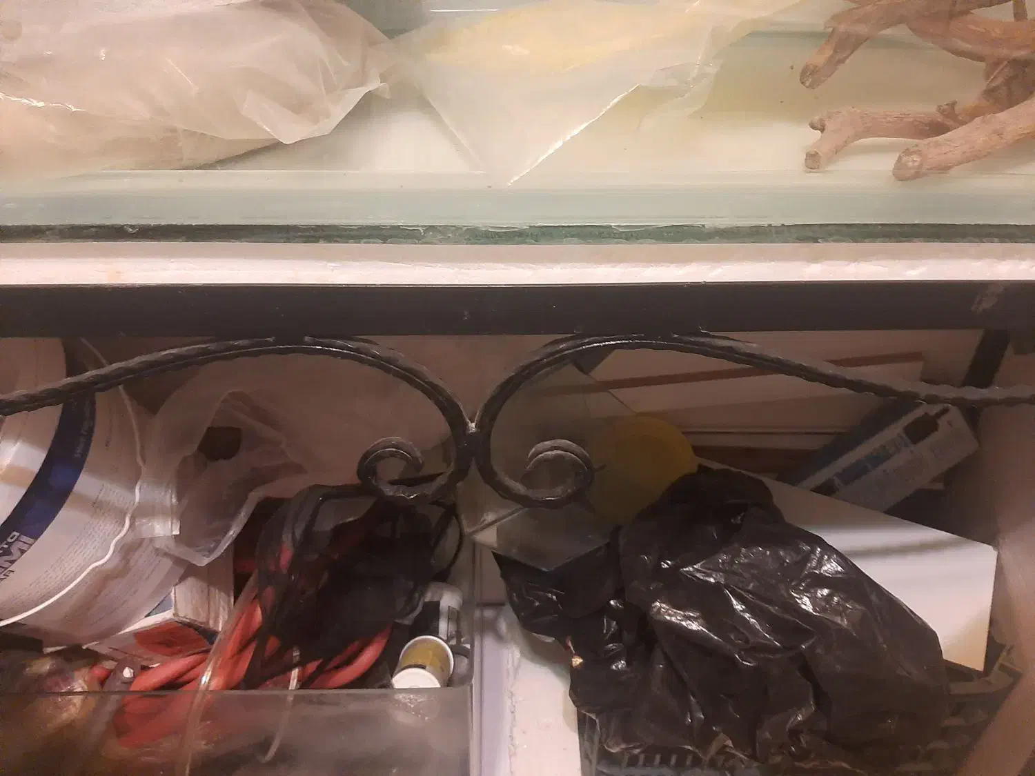 آکواریوم ماهی|ماهی|تهران, مجیدآباد|دیوار