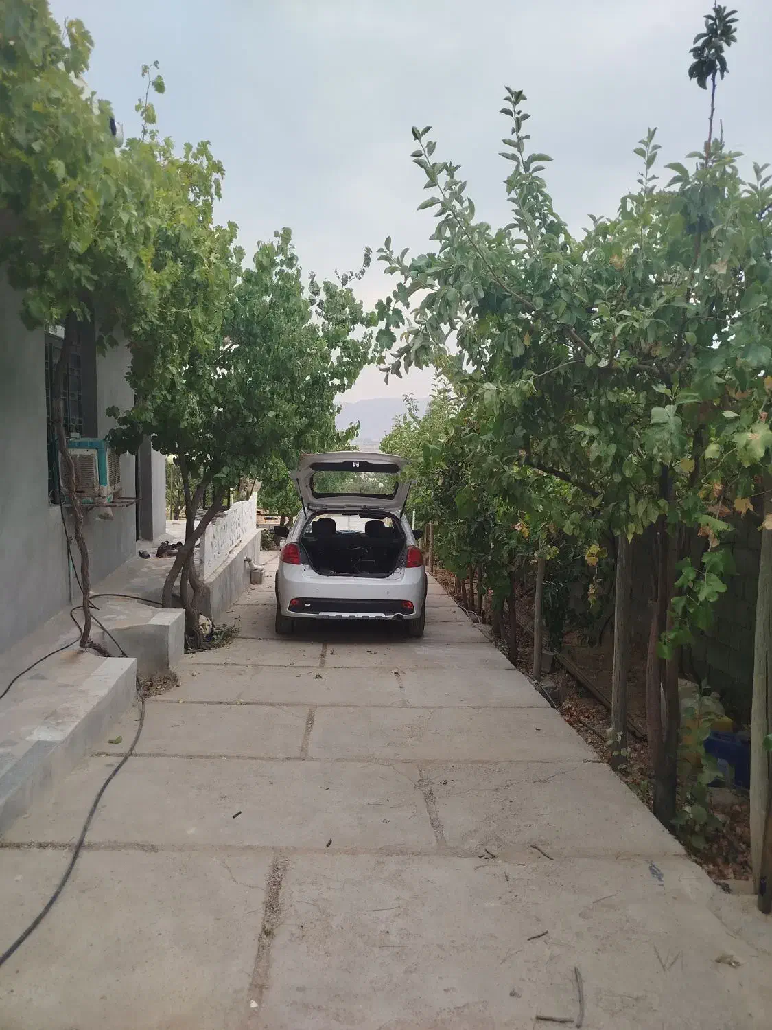 باغ شهری سیاخ دارنگان (فروش خیلی فوری)|فروش خانه و ویلا|سیاخ دارنگون, |دیوار