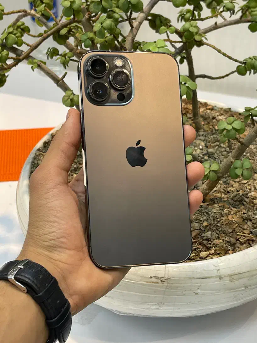 Ip 13pro max 256gig|موبایل|کرج, گلشهر|دیوار