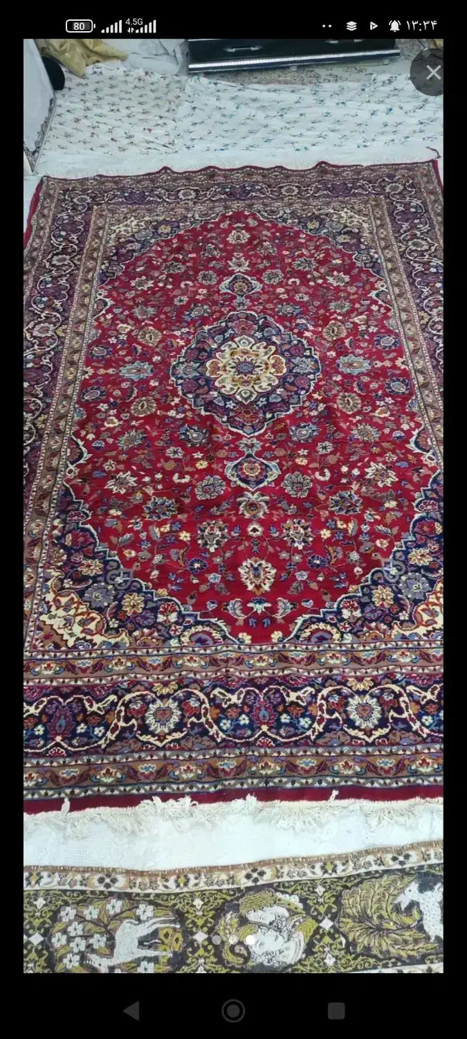 یک دانه فرش6متر|فرش|کرمانشاه, |دیوار