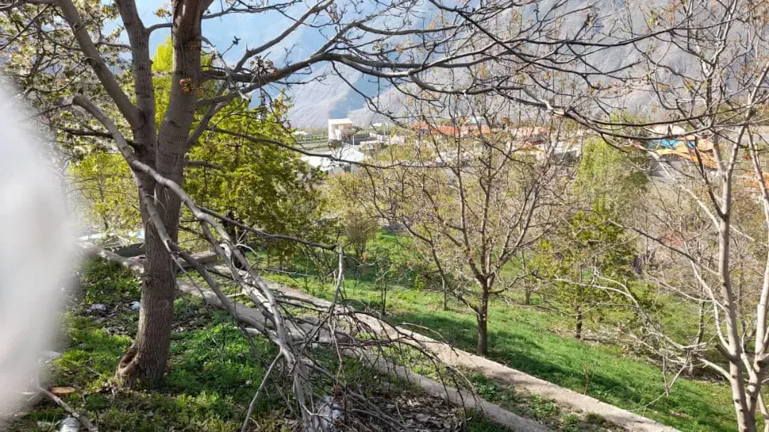 زمین متراژ دلخواه داخل بافت|فروش زمین و ملک کلنگی|گزنک, |دیوار