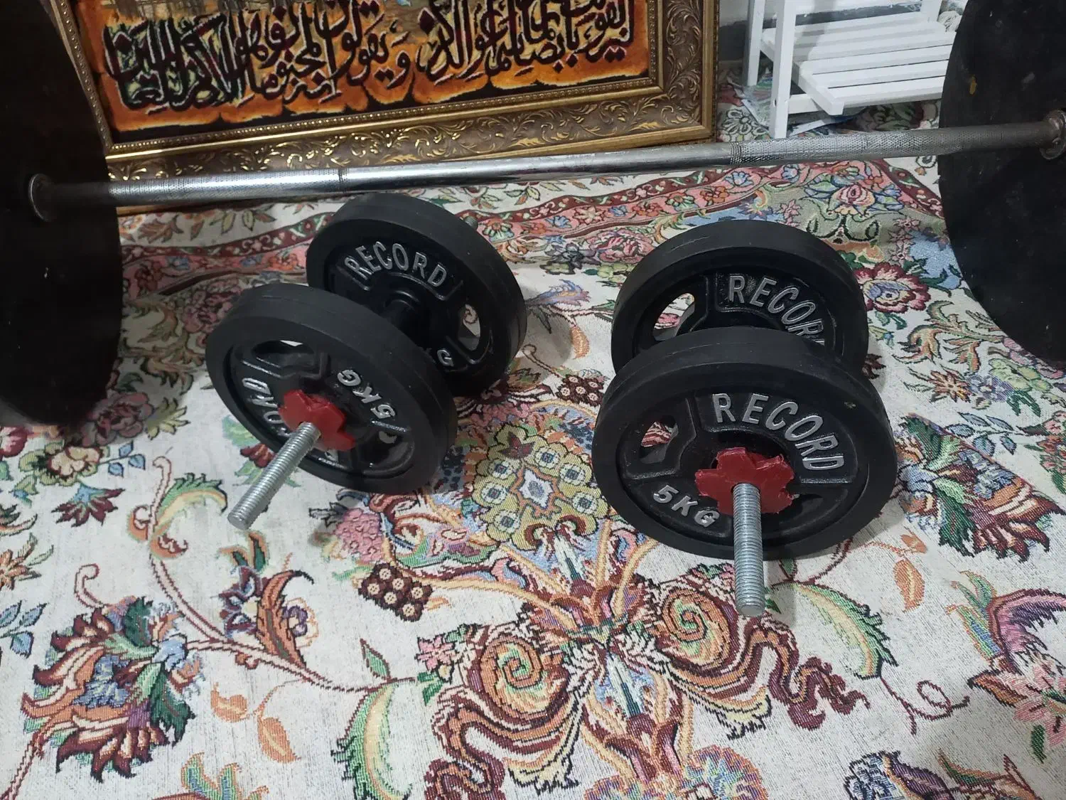 دوعدد دمبل مارک رکورد نونو اهنی ۲۰ کیلویی|تجهیزات ورزشی|هشتگرد, هشتگرد قدیم|دیوار