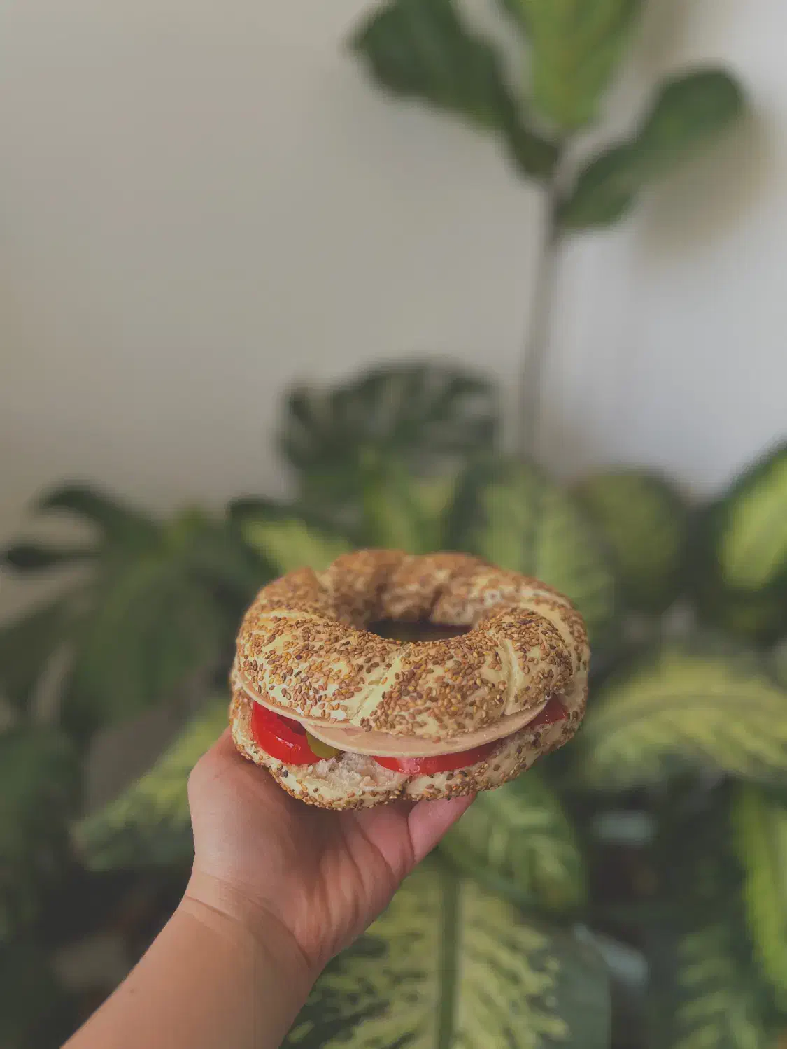 نان و فینگر فود|خوردنی و آشامیدنی|حمیدیا, |دیوار