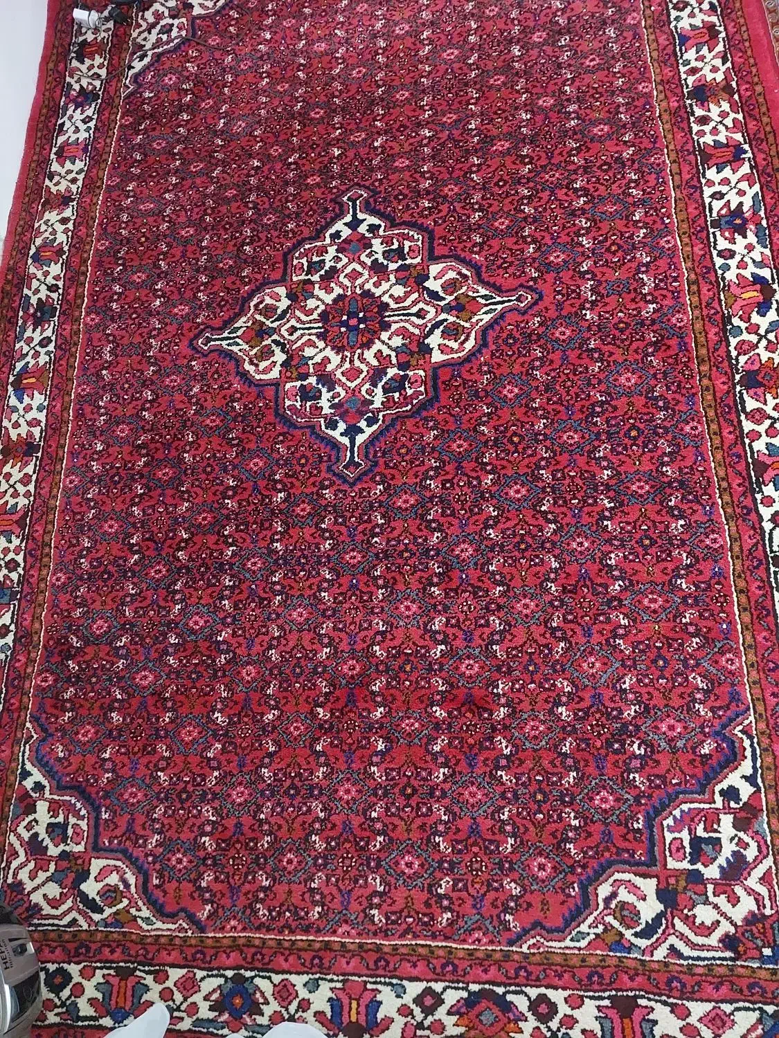 فرش دستباف ازندریان نو|فرش|بهار, |دیوار