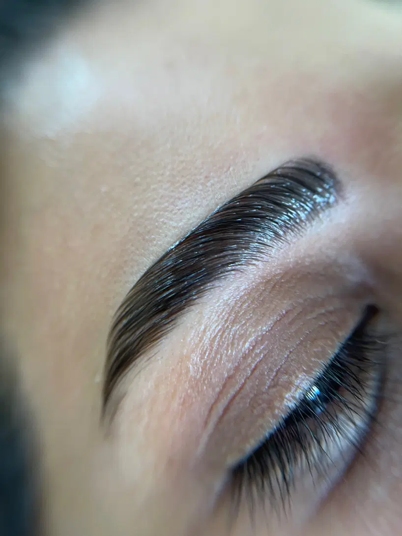 لیفت و لمینت مژه و ابرو|خدمات زیبایی و سلامت|رشت, دیلمان|دیوار