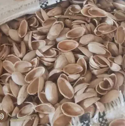 کربن پسته|عمده‌فروشی|اصفهان, گورت|دیوار